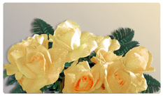 DNSEMP-C-069 Bouquet Of Roses Yellow
